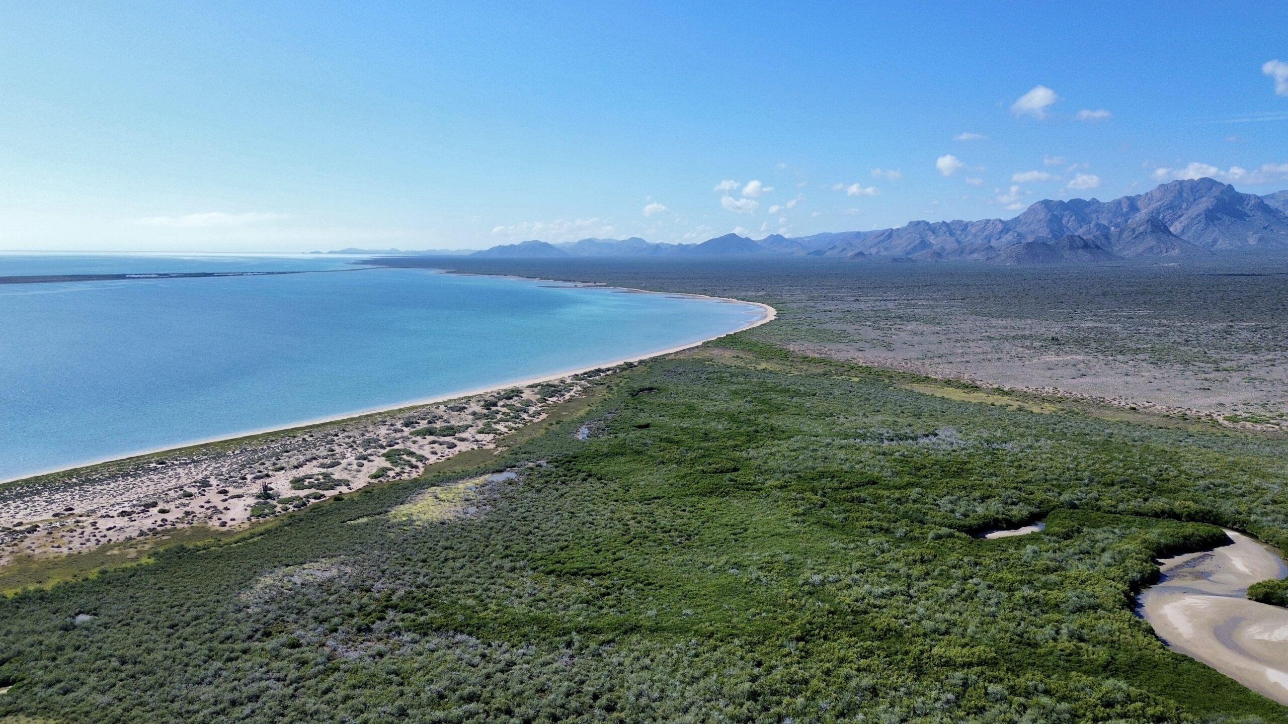 Isla Tiburón — paisaje costero